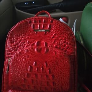 Red Textured Backpack